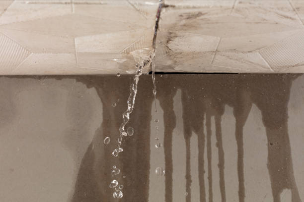 Professional Structural Drying technician working in Yorkville, OH